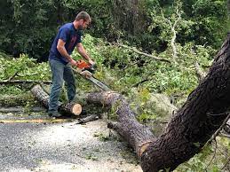 Best Seasonal Cleanup (Spring/Fall)  in Leonia, NJ